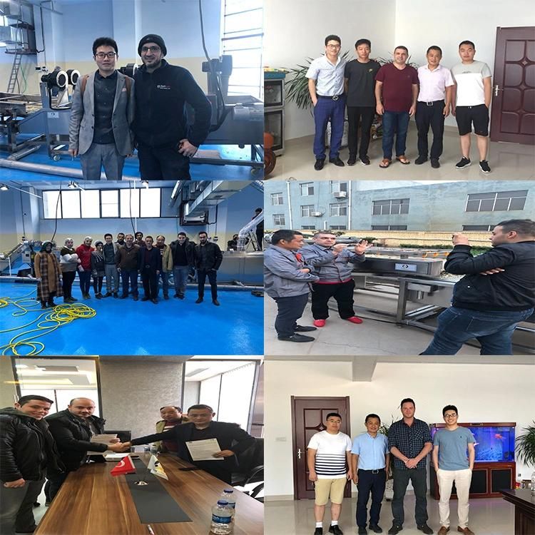 Factory Supplier Fruit Washing Waxing Drying Grading Machine