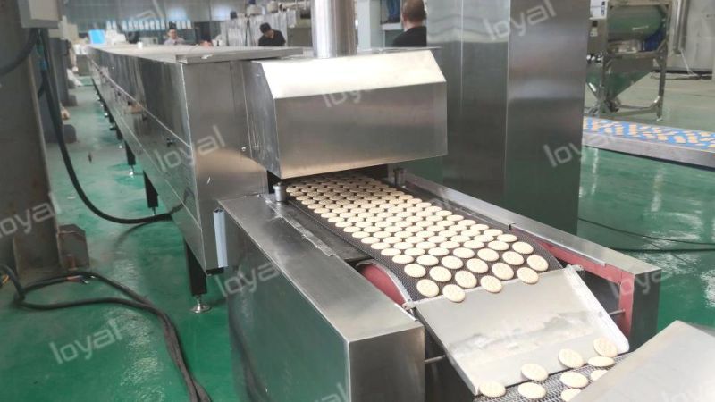 Durable Biscuit Machine Cookies Biscuit Making Machine Soft Biscuit Processing Line