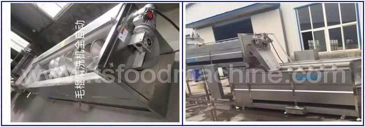 Maize Corn Washing Machine and Radish Washer Machine