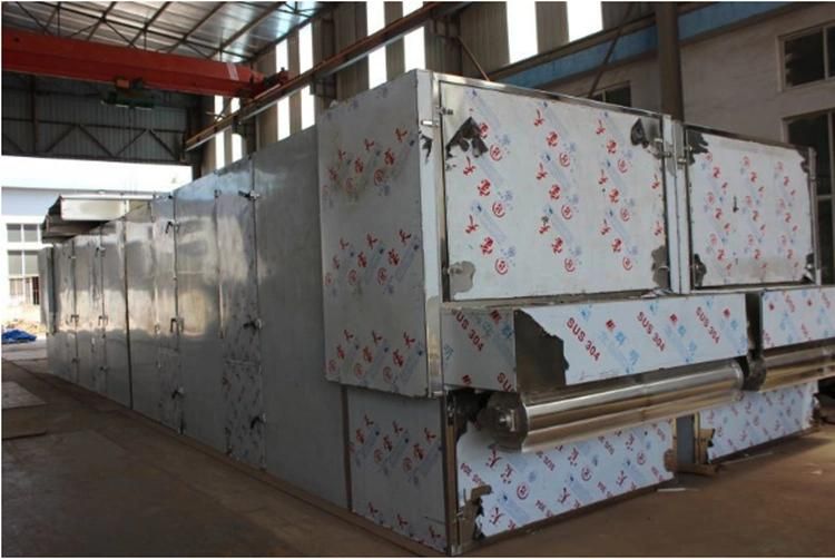 Food Grade Vegetable Cutting Washing Dehydrating Packing Line Fresh Salad Machine Fruit&Vegetable Production