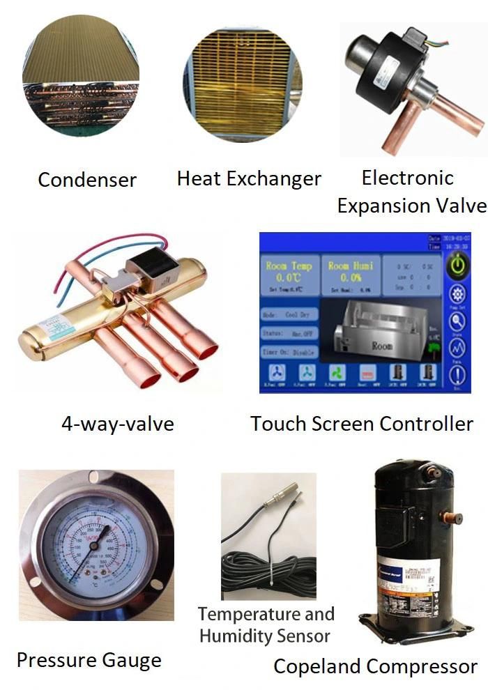 Energy Efficient Industrial Fruit Vegetable Fish Red Chili Shrimp Tomato Seafood Seafood Scallop Squid Strawberry Sweet Potato Sausage Turmeric Drying Machine