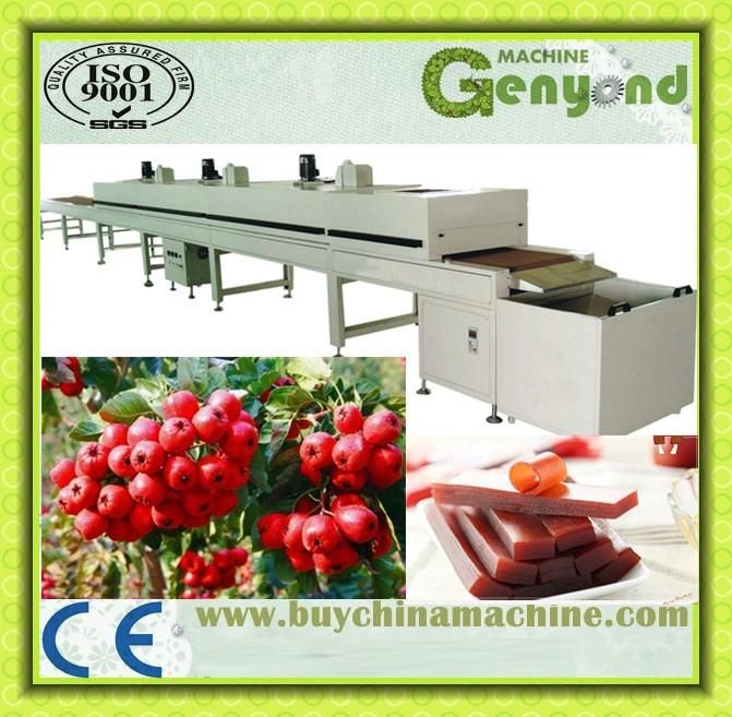 Fruit Dan Skin Production Line Making Machine