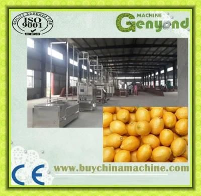 Pertreatment High Quality Lemon Washing Machine