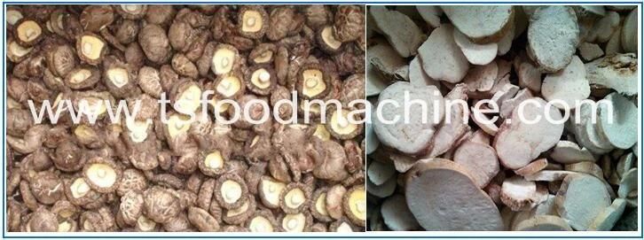 Bailing Mushroom, Tea Tree Muashroom, Shiitake Mushroom Dryer and Drying Machine