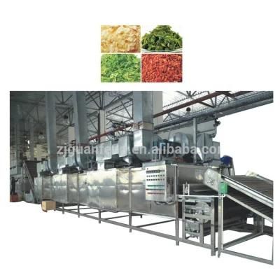 Garlic Processing Line Drying Equipment for Garlic Slices Belt Dryer