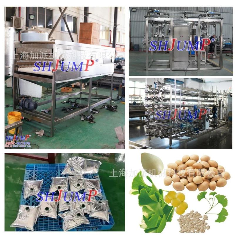 Ginkgo Juice Processing Equipment Canned Ginkgo Dryed Ginkgo Macking Machine and Production Line