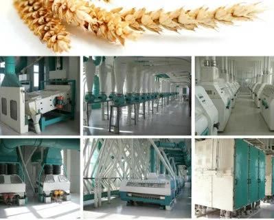 Installing Flour Mill with More Than 40years′ Experience