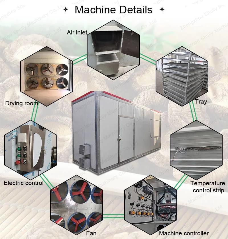 Automatic Food Fruit Vegetable Dehydrator Drying Dryer Machine Egypt