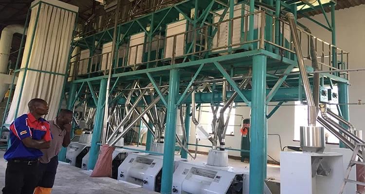 Zimbabwe 90t/24h Maize Mill Machine Milling Maize Meal and Grits