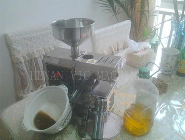 Africa Popular Moringa Seed Oil Extraction Machine