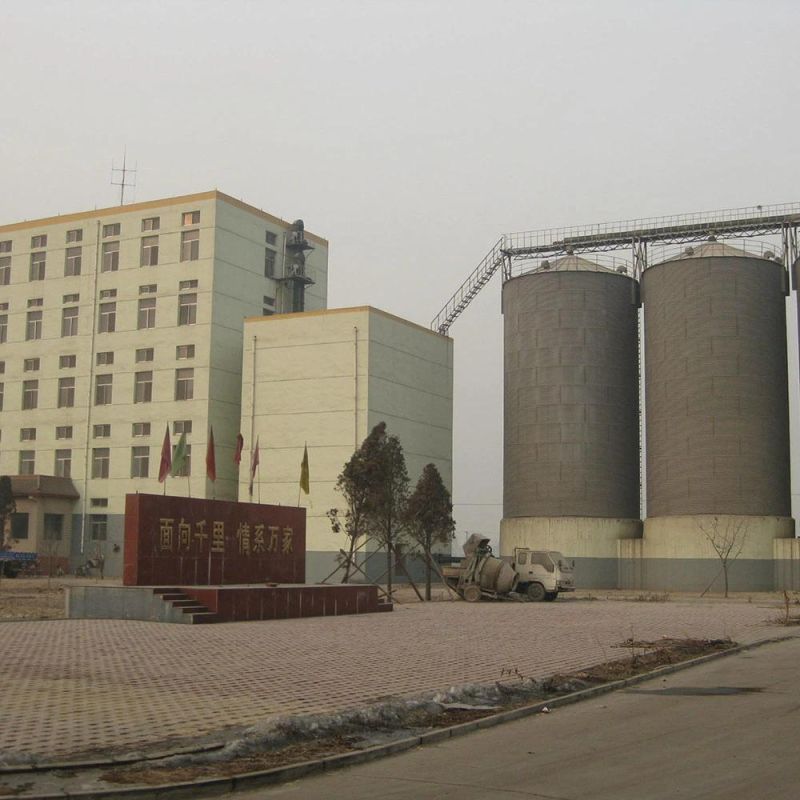 500t/24h Grain Flour Wheat Milling Plant for Food Grinding Price