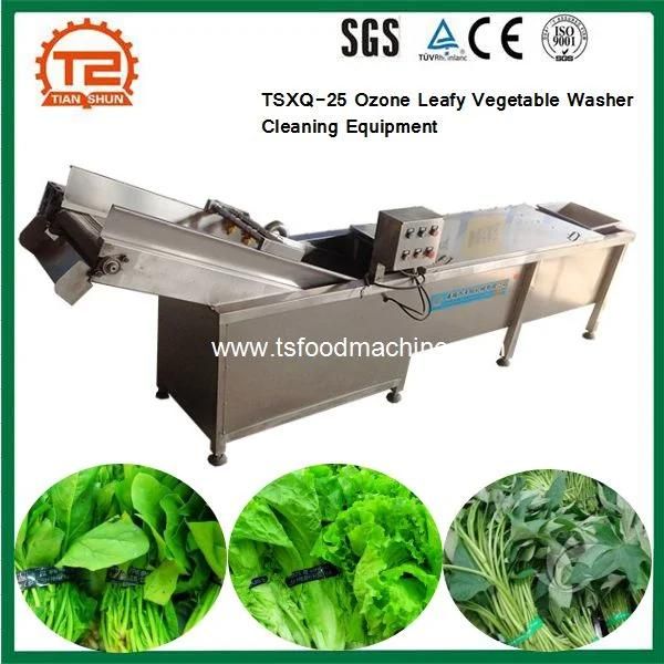 Tsxq-25 Ozone Leafy Vegetable Washer Cleaning Equipment