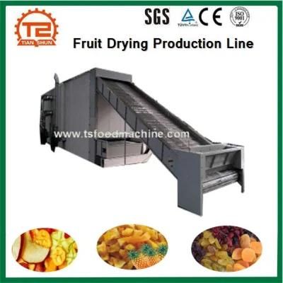 Date, Grape, Fruit Drying Production Line