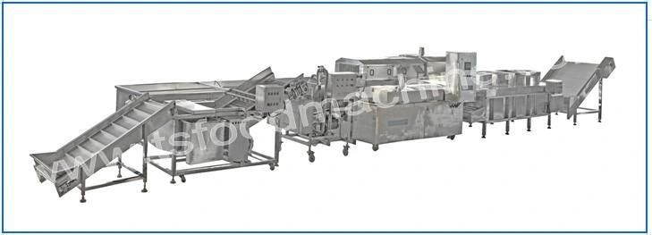 Green Bean Washing Cutting Drying Processing Machine