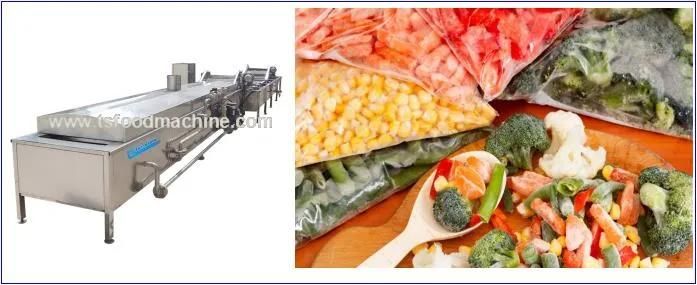 Fruit and Vegetable Blancher and Meat, Seafood Blanching Machine