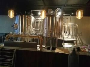 500L 5bbl 2 Vessels Craft Brewhouse Equipment with CE Certificate