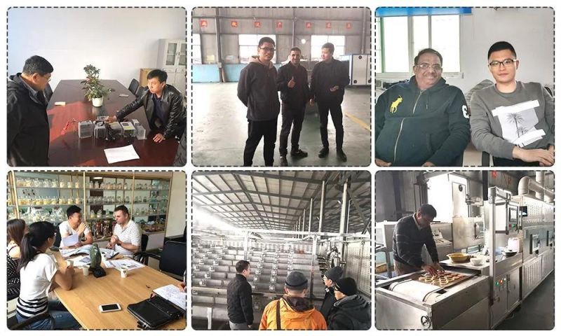 Hot Selling The Equipment for Manufacture of Artificial Rice Made in China