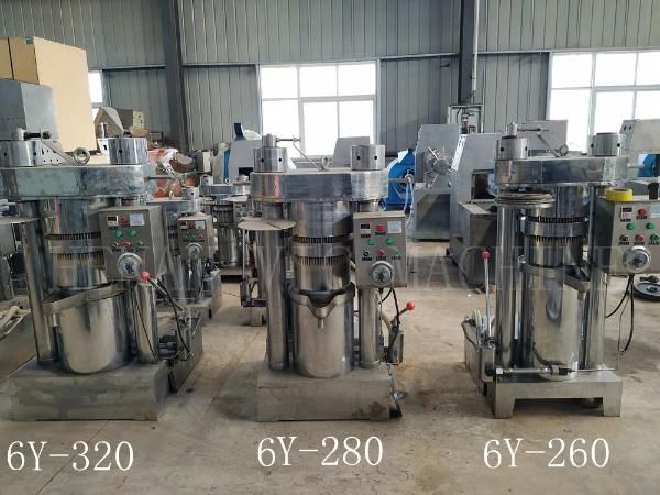 CE Certificate 300kg/h Automatic Mustard Oil Press Machine