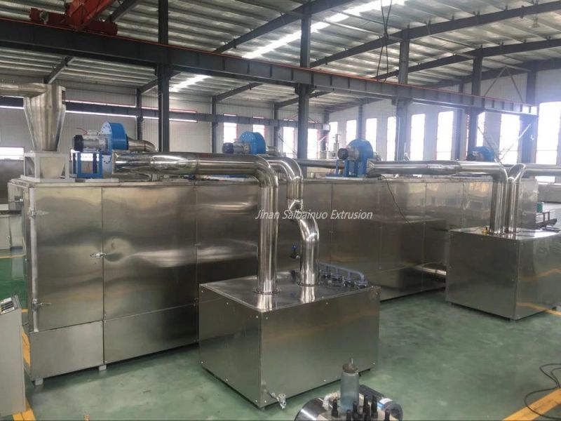 Jinan Saibainuo Quality Fortified Rice Kernel Making Machine Frk Nutritional Instant Artificial Rice Processing Maker Line