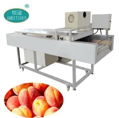 Industrial Fresh Vegetable Fruits Cleaning Processing Peach Washing Machine