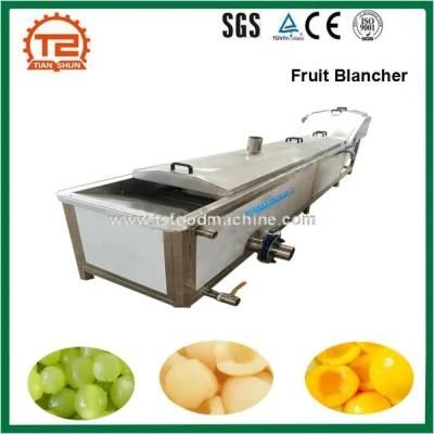 Vegetable Sterilization Line, Fruit Blancher and Vegetable Blanching Sterilizer Machine