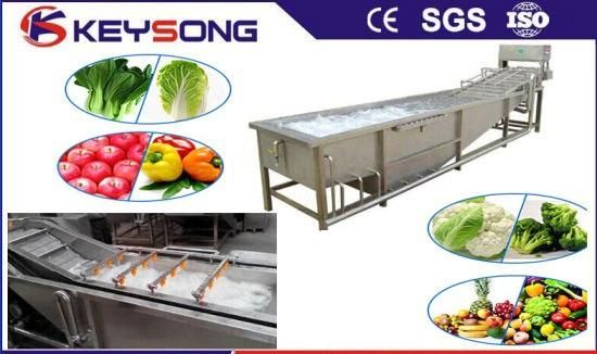 Ginger Air Bubble Washing Machinery