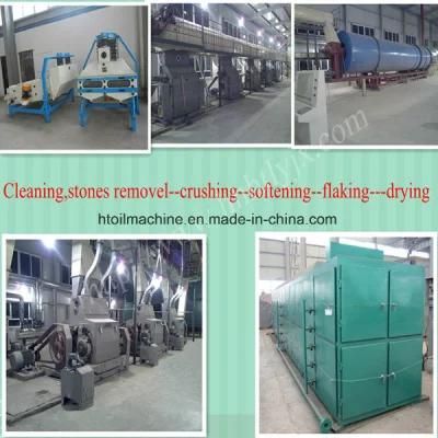 100tpd Automatic Cottonseed Oil Processing Machine