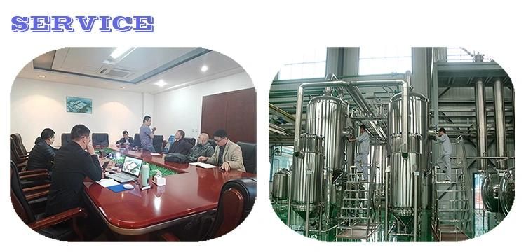 New Design SIP Biological Machenical Stirring Fermentation Tank