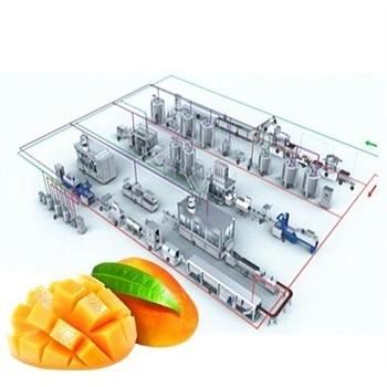 Juice/Beverage Making/Production/Processing Line/Plant for Sell