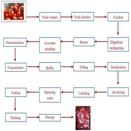 Small Tomato Paste Making Machine