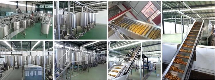 Top Quality Complete Prickly Pear Processing Machine