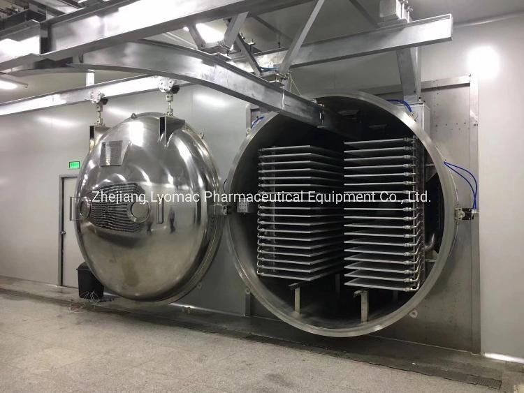 Cheap Price Food Freeze Dryer for Sale