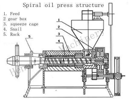 New Strong Gearbox 200kg/h Screw Oil Press machine