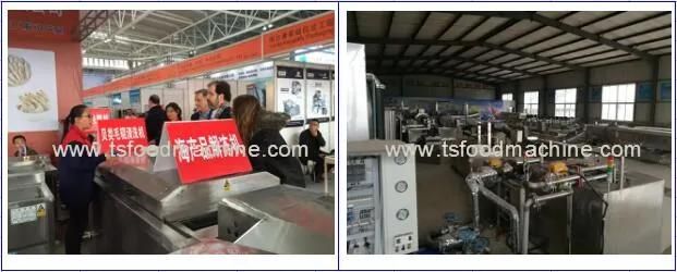 Automatic Frying Machine and Potato French Fries Making Machine