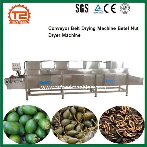 Betel Nut Processing Conveyor Belt Drying Machine Betel Nut Dryer Machine