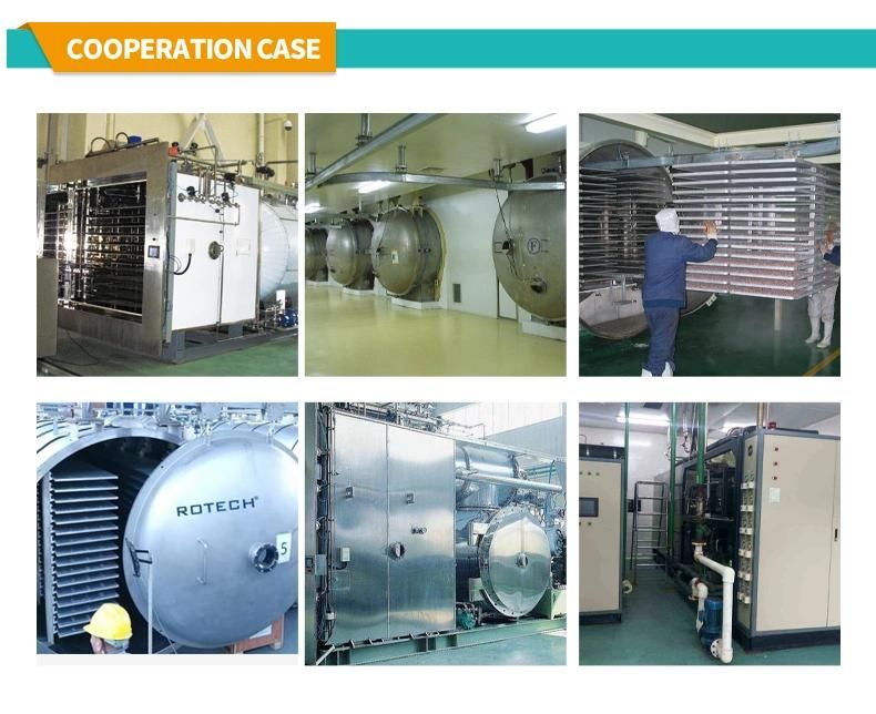 Injection Use Vacuum Lyophilizer Freeze Drying Machine