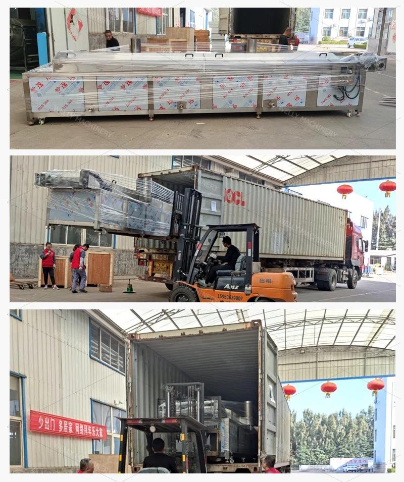 100kg-2000kg/H French Fries Frozen Machine China Supplier