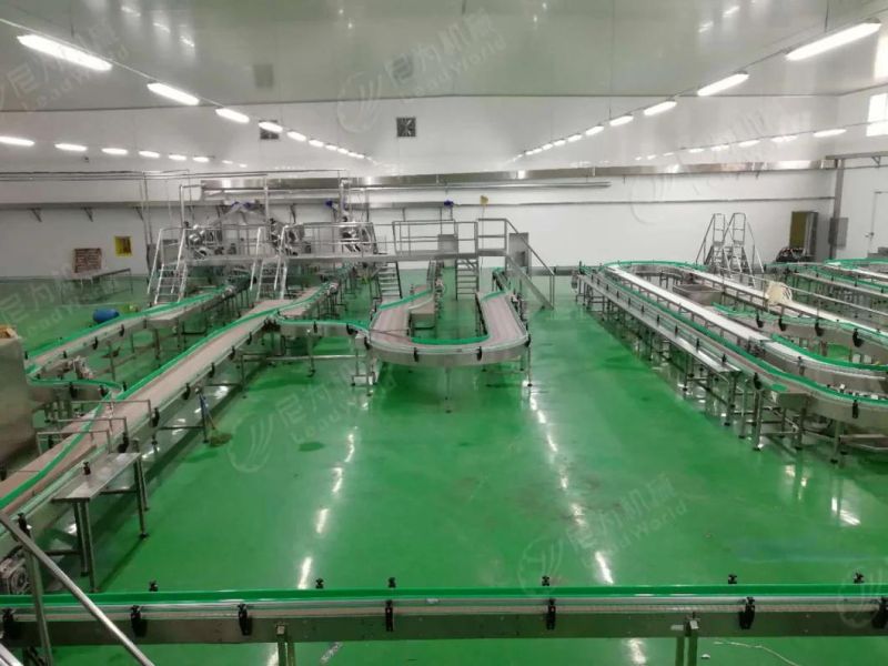 Shanghai Fruit Vegetable Canned Pineapple Processing Production Line Packaging Machine