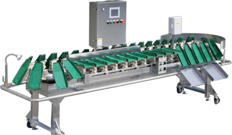 Automatic Fresh Vegetable and Fruit Grading Equipment