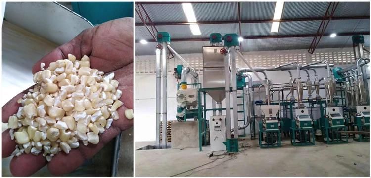 Nairobi Kenya 20t/24h Maize Corn Flour Grinding Milling Machine