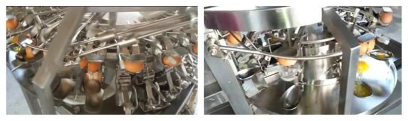 Hot Sell Fresh Egg Breaking Machine