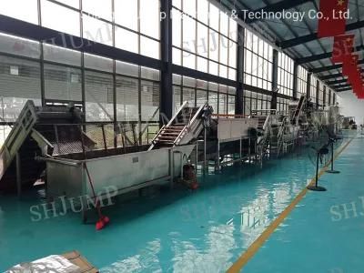 Full Line Fruit Leather Sweetend Roll Production Machines