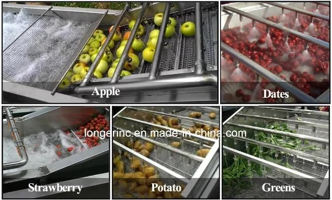 Fruit and Vegetable Washing and Drying Machine on Sale