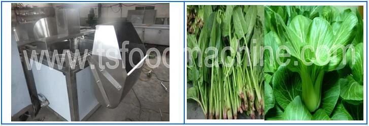 Green Vegetables Fruits Potato Steaming and Blanching Machine