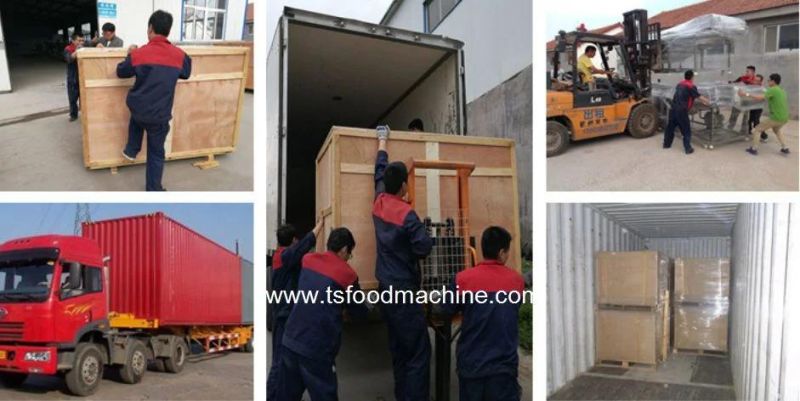 Conveyor Mesh Belt Type Air Drying Machine / Vegetable Dryer Machine