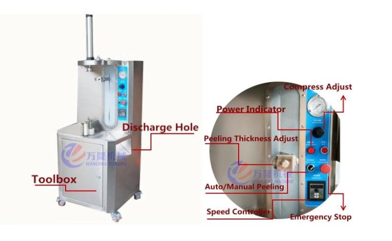 Widely Application Pineapple Grapefruit Papaya Cantaloupes Skin Peeler with PLC