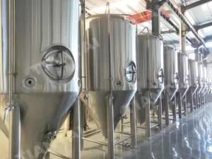 Comical Double Wall Beer Fermenter Machine for Brewery