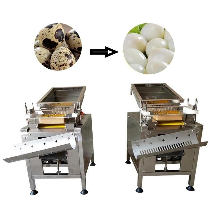 Hot Sale Commercial Machines Quail Egg Peeling Machine