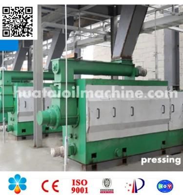 Cold Oil Press Machine Peanut Oil Machine Oil Expeller Machine Oil Extraction Machine