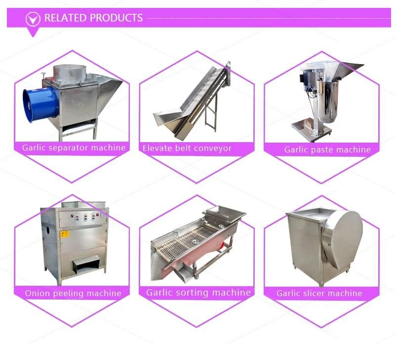 High Productivity Garlic Peeler Machine Production Line Sorted Garlic and Peeling Machine